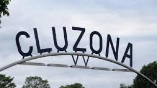 Cluzona